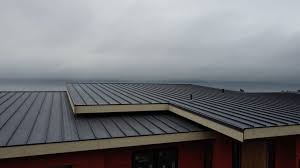 Best Commercial Roofing Services  in Dearborn Heights, MI